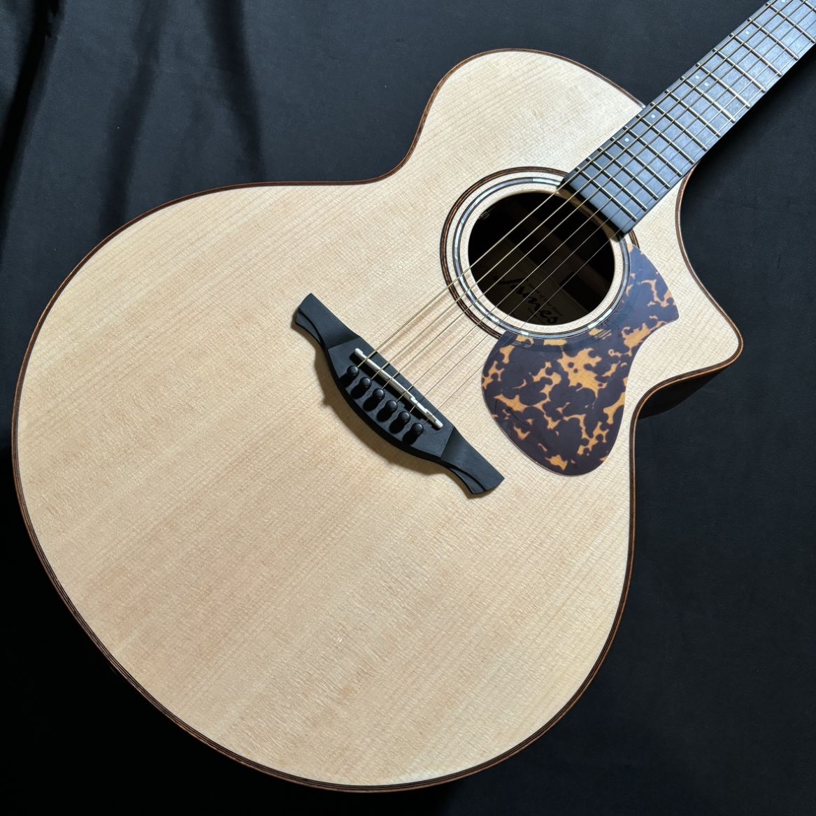 James J-900/C Natural L.R.Baggs PU搭載エレアコ オール単板