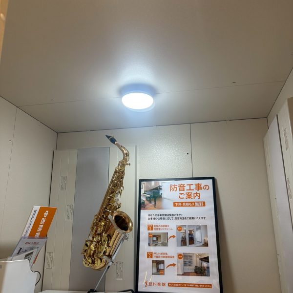 照明は玄関廊下トイレにおススメされていたものですが、小型で明るくて問題ないです！コロンとしたフォルムが愛らしくすら思えます。