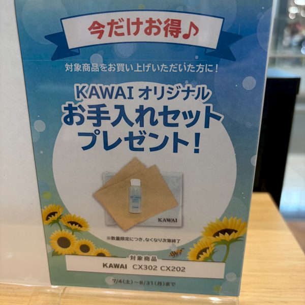 お手入れセットプレゼント！