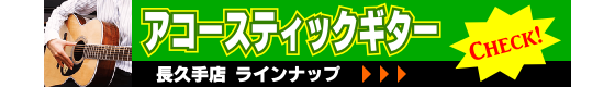 アコースティックギターラインナップ