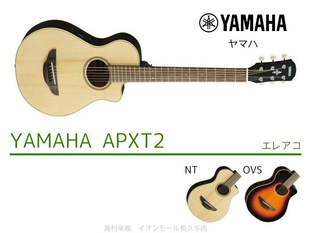 YAMAHA APXT2