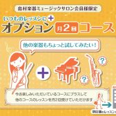ピアノサロンブログVol.7 オプション月2回コースのご紹介