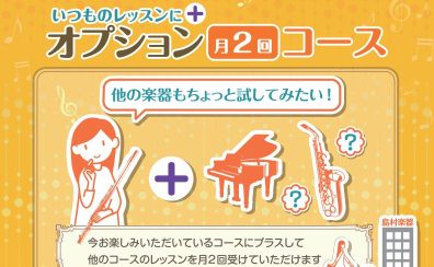 ピアノサロンブログVol.7 オプション月2回コースのご紹介