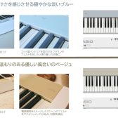 【新色】CASIO　PX-S1100　MB/CB【2025年7月31日新発売】
