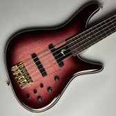 気になる一本、きっとある！長久手店のエレキベース紹介！