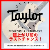 【7月1日より価格改定】Taylor (テイラー) 値上がり前のラストチャンス！～仙台長町モール店～