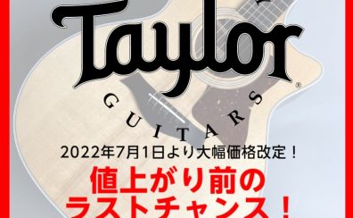 【7月1日より価格改定】Taylor (テイラー) 値上がり前のラストチャンス！～仙台長町モール店～