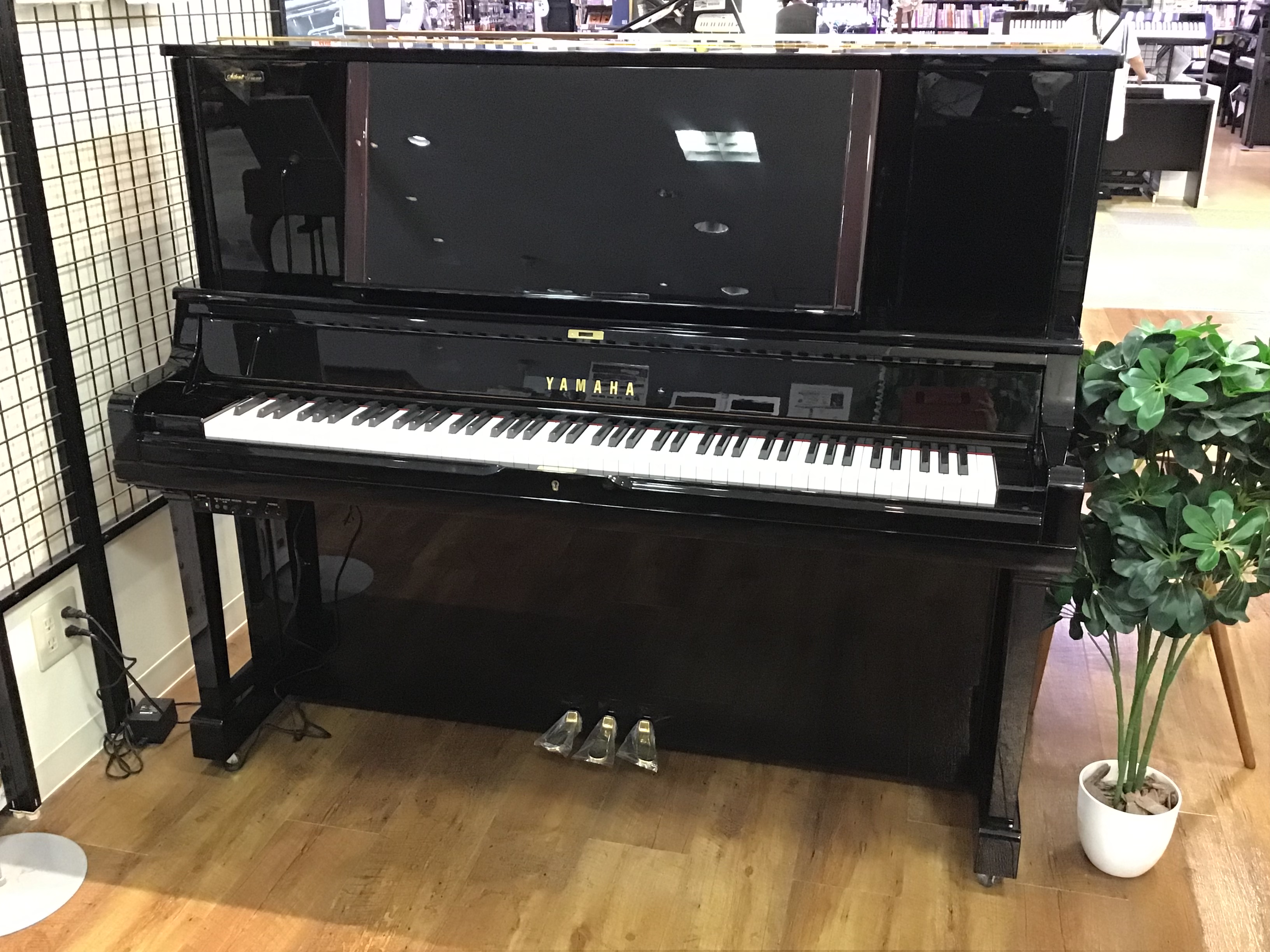 YAMAHA中古YUS5SG