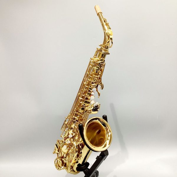 YAMAHA/YAS-875EX<br />
￥603,900(税込)