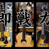 【即戦力アコースティックギターのご紹介！ライブ向けオススメ機種多数展示中！