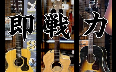 【即戦力アコースティックギターのご紹介！ライブ向けオススメ機種多数展示中！