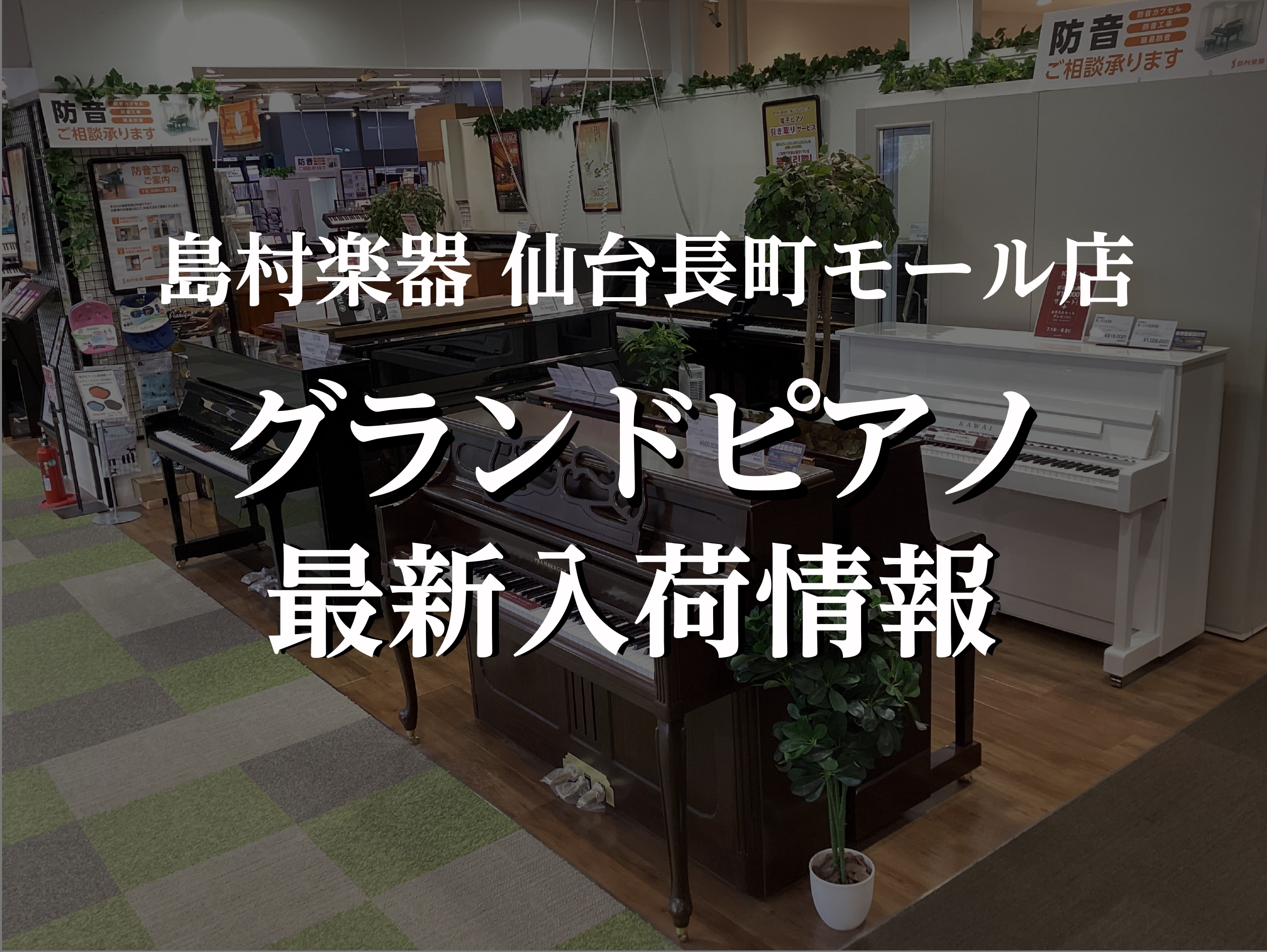 みなさんこんにちは！島村楽器仙台長町モール店、アコースティックピアノ担当の髙橋玲佳です。 つ、ついに、、、、当店にグランドピアノが入荷しました！！！！🌟島村楽器が代理店を務めるブランドPRAMBERGER（プレンバーガー）から、小型グランドピアノです！！ CONTENTS製品概要PRAMBERGER […]