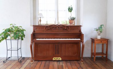 PRAMBERGER/プレンバーガー在庫限りの特別価格で販売中!🌸