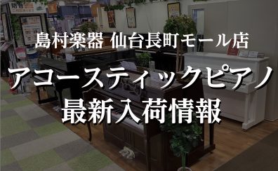 【中古アップライトピアノ入荷情報】WILH.STEINBERGの中古AT23DCLが入荷しました✨