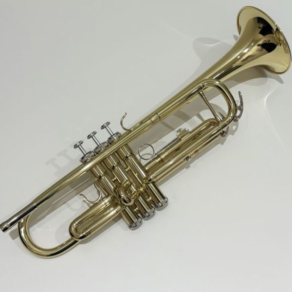 ****************************<br />
BRILLER・BTR-10L<br />
へこみありのため1本限りの特別価格！<br />
通常価格￥45,000(税込）→￥40,500（税込）<br />
****************************