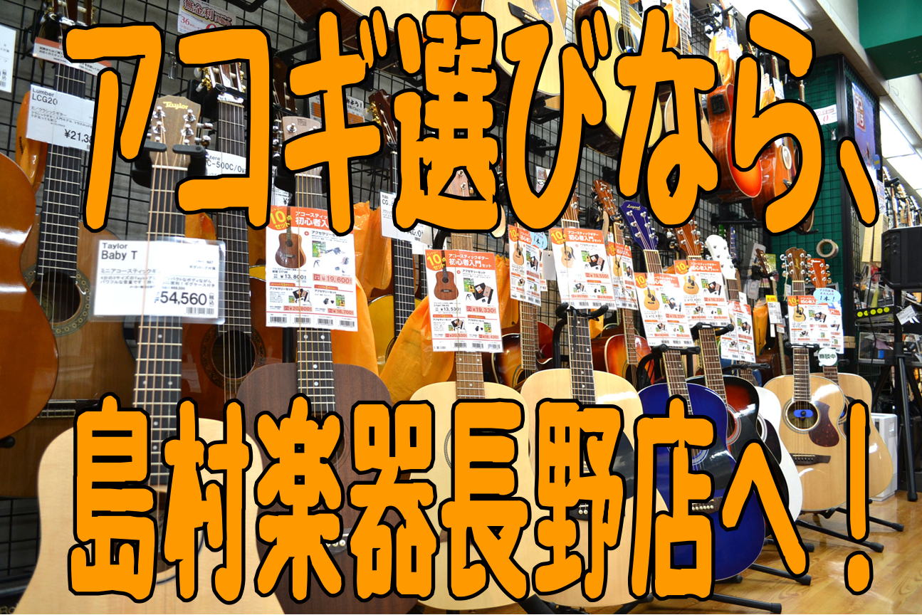 アコースティックギター選びは島村楽器長野店へ！♪