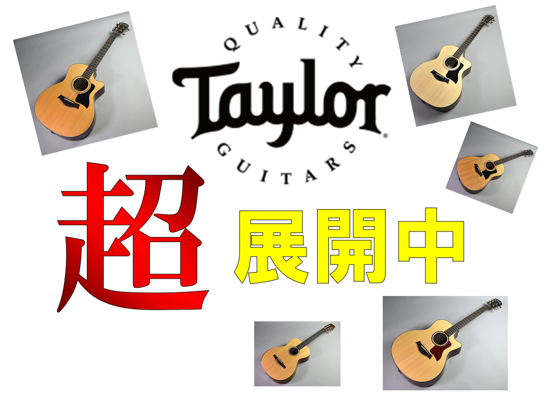 アコースティックギター】長野店にTaylor Guitarsがたくさん入荷しま