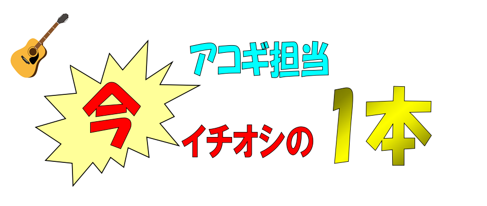 【アコースティックギター】夏だ！アコギだ！オススメアコースティックギターのご紹介♪