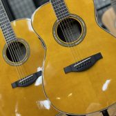 【アコースティックギター】YAMAHA人気のトランスアコースティックギター「LL-TA」「LS-TA」が入荷しました！