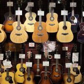 【アコースティックギター】展示ラインナップ イオンモール須坂店