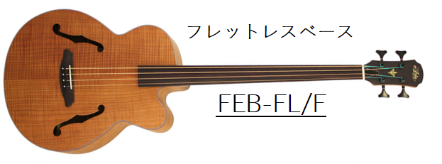 アコースティックベース！FEB-FL/Fが入荷しました！｜島村楽器 イオン