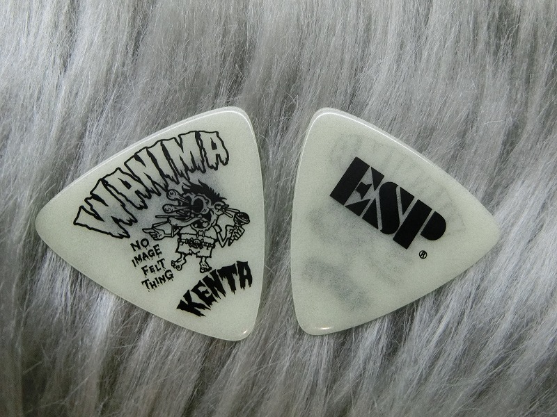 WANIMAのKENTAモデルNEWピック入荷しました。