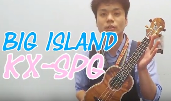 BigIsland(ビッグアイランド)かわいいカメさんのウクレレ入荷しました!