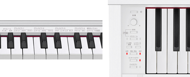 18％OFF CASIO カシオ CB-30-WE ホワイト Privia プリヴィア 用 高低自在イス 座面高 46cm〜53.5cm  fucoa.cl
