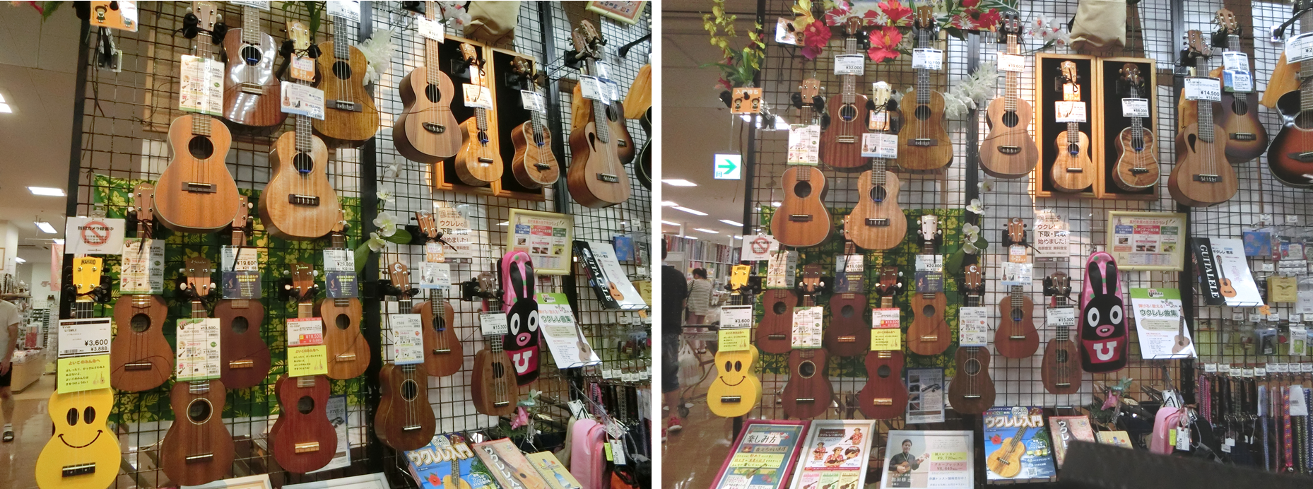 【ウクレレ】日本で作られた『COTONE（コトネ）』を特集！当店にあるウクレレをご紹介いたします！　　　島村楽器イオン長岡店