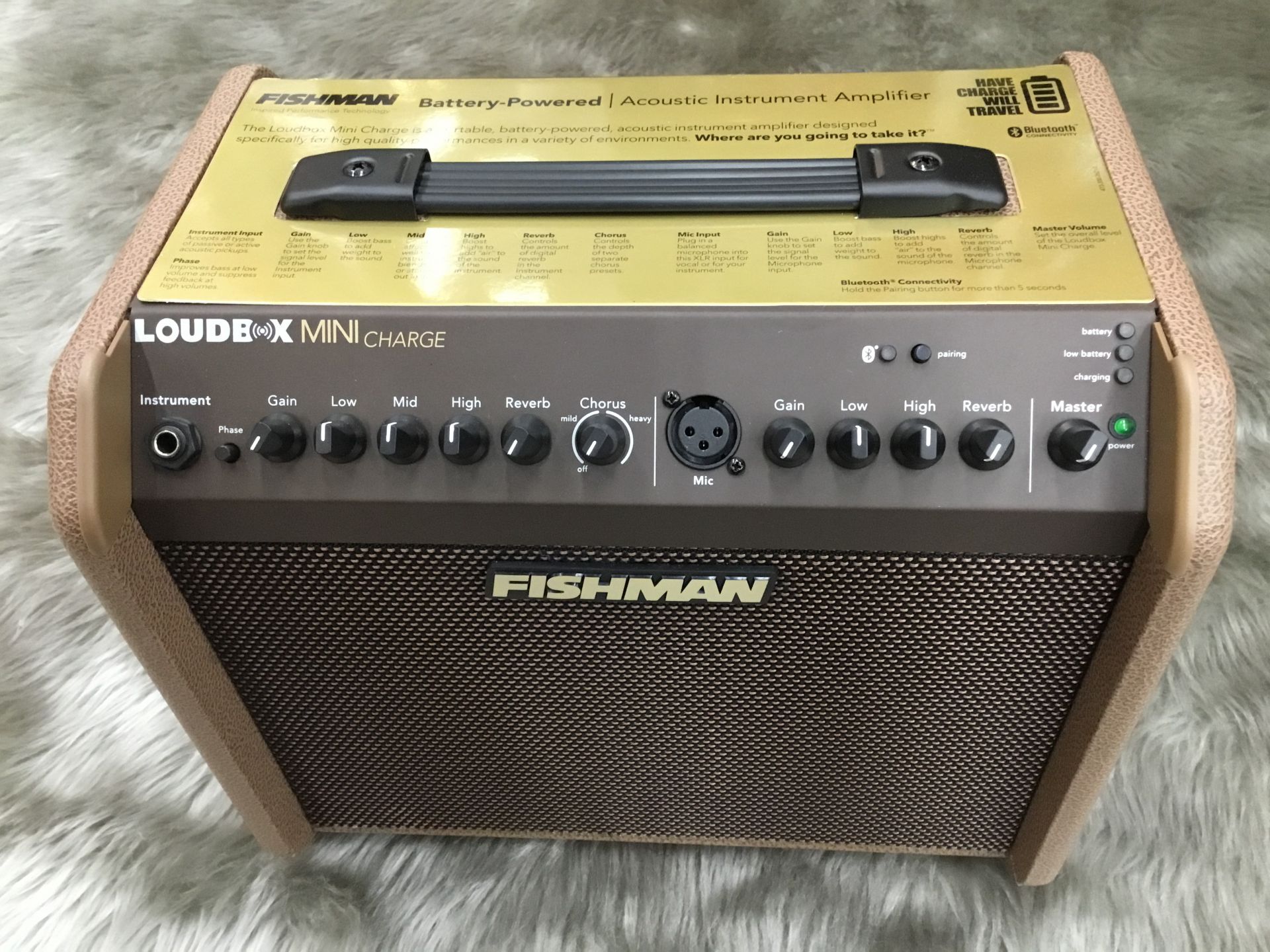 12032円 限定品 FISHMAN Loudbox Mini 60W アコースティックギターアンプ