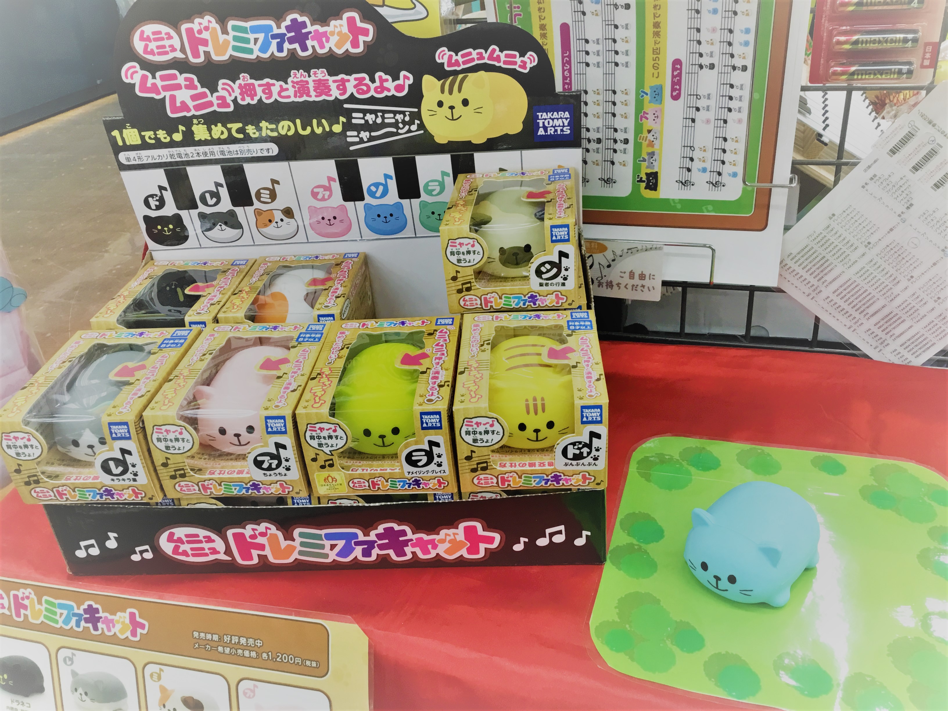 ドレミファキャット　島村楽器長岡