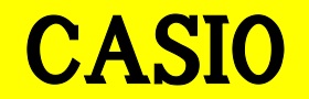 島村楽器長岡店　CASIO ロゴ