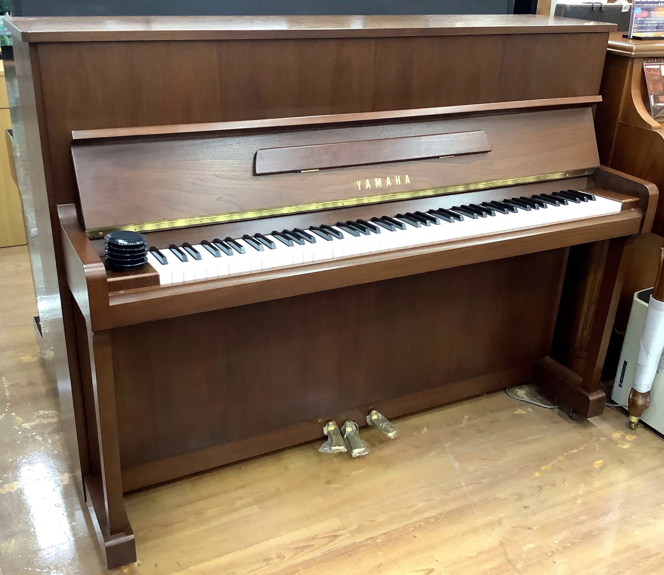 島村楽器長岡店　yamaha w116wt