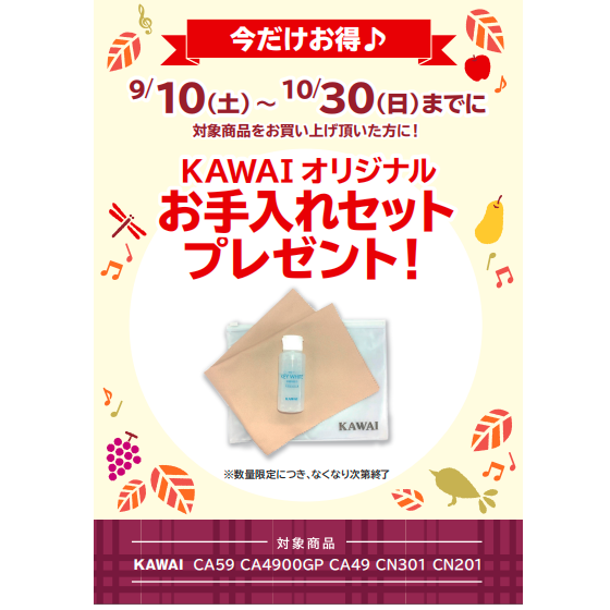 フェア特典「KAWAIオリジナルお手入れセットプレゼント」