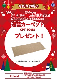遮音カーペットプレゼント