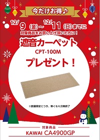 遮音カーペットプレゼント