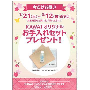 フェア特典「KAWAIオリジナルお手入れセットプレゼント」