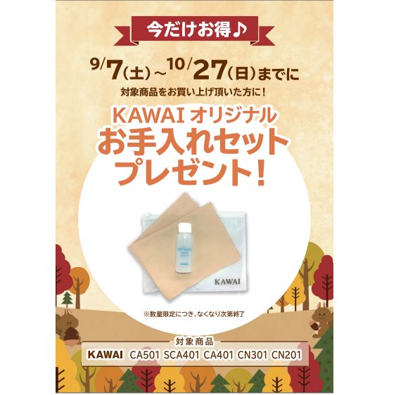 フェア特典「メーカーオリジナルお手入れセット」