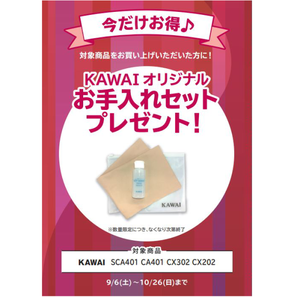 フェア特典「メーカーオリジナルお手入れセット」