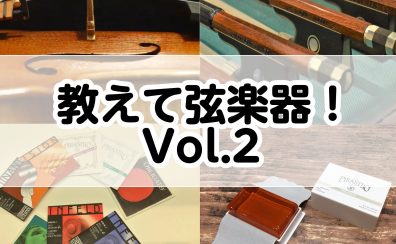 教えて弦楽器！Vol.2～湿度管理気にしてますか？～