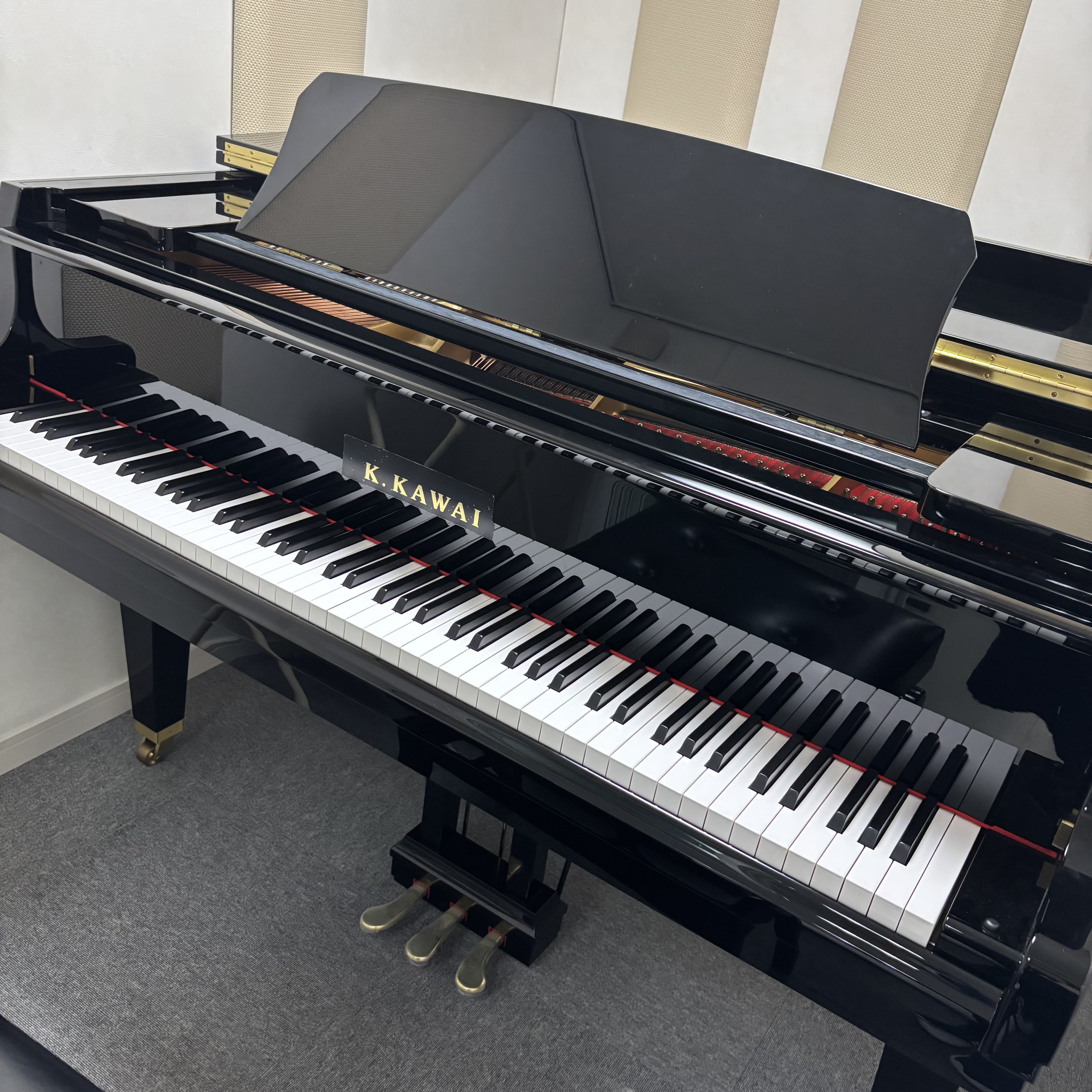 KAWAIGL-10