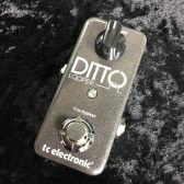 【中古エフェクター ルーパー】tc electronic Ditto Looper