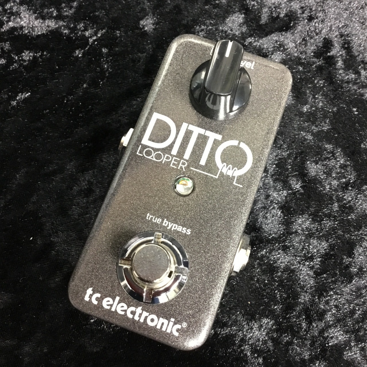 【ルーパー】DITTO LOOPER 【tc electronic】