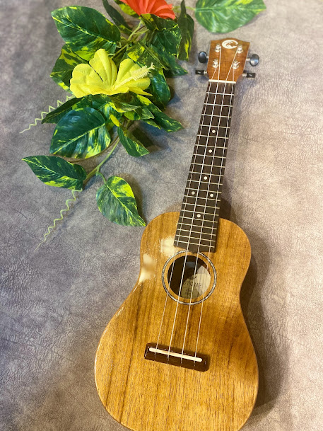 COTONECS5SL ソプラノ(中古)