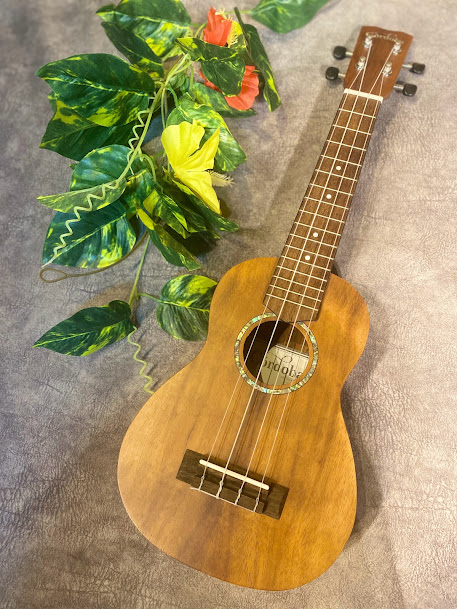 Cordoba(コルドバ)28S ソプラノ