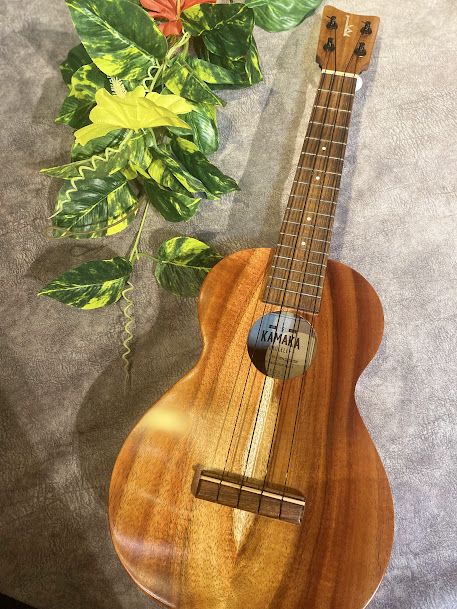 KAMAKA(カマカ)HF-2-17 コンサート