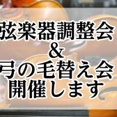 弦楽器調整会＆毛替え会　開催いたします