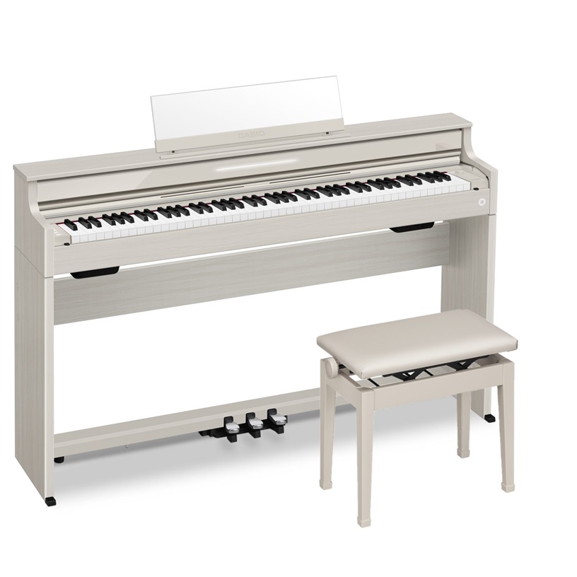 CASIOAP-S5000GP