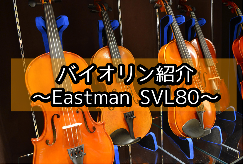 【バイオリン紹介】Eastman　SVL80セット