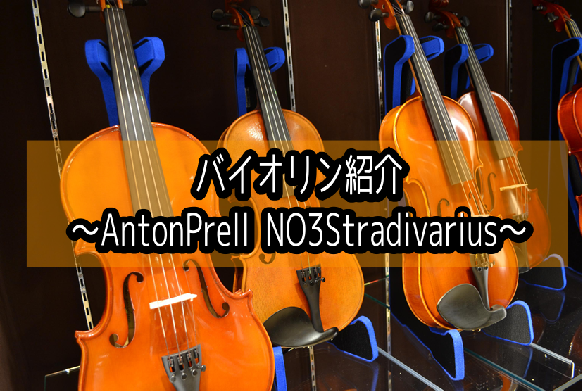 【バイオリン紹介】AntonPrell NO3Stradivariusセット